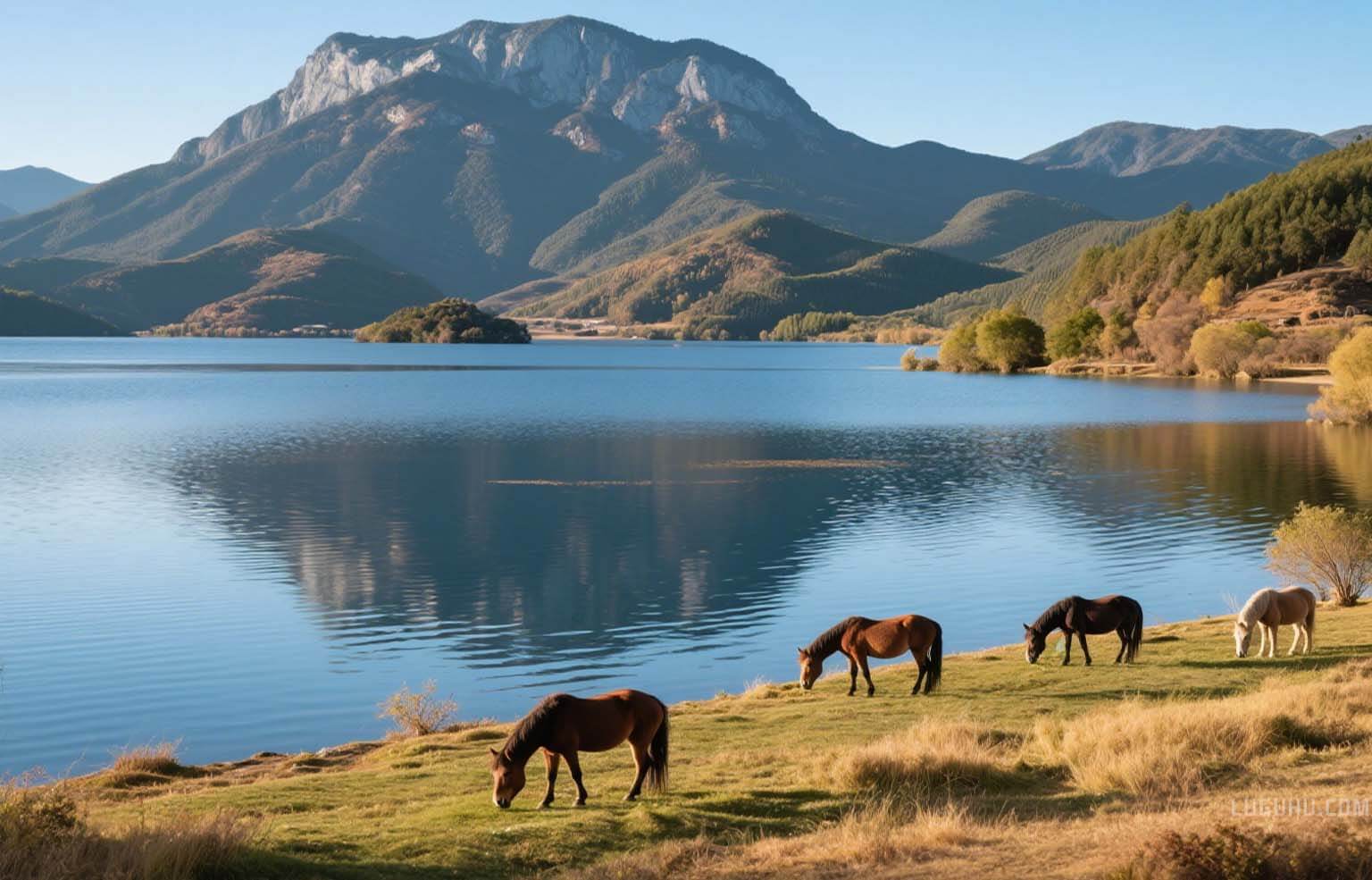 �����ͼƬ2