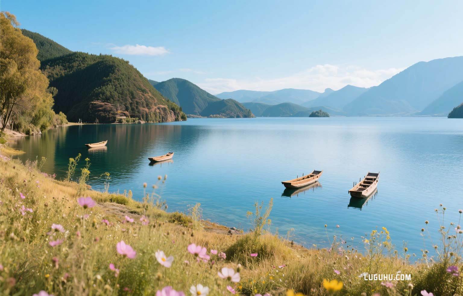 �����ͼƬ3