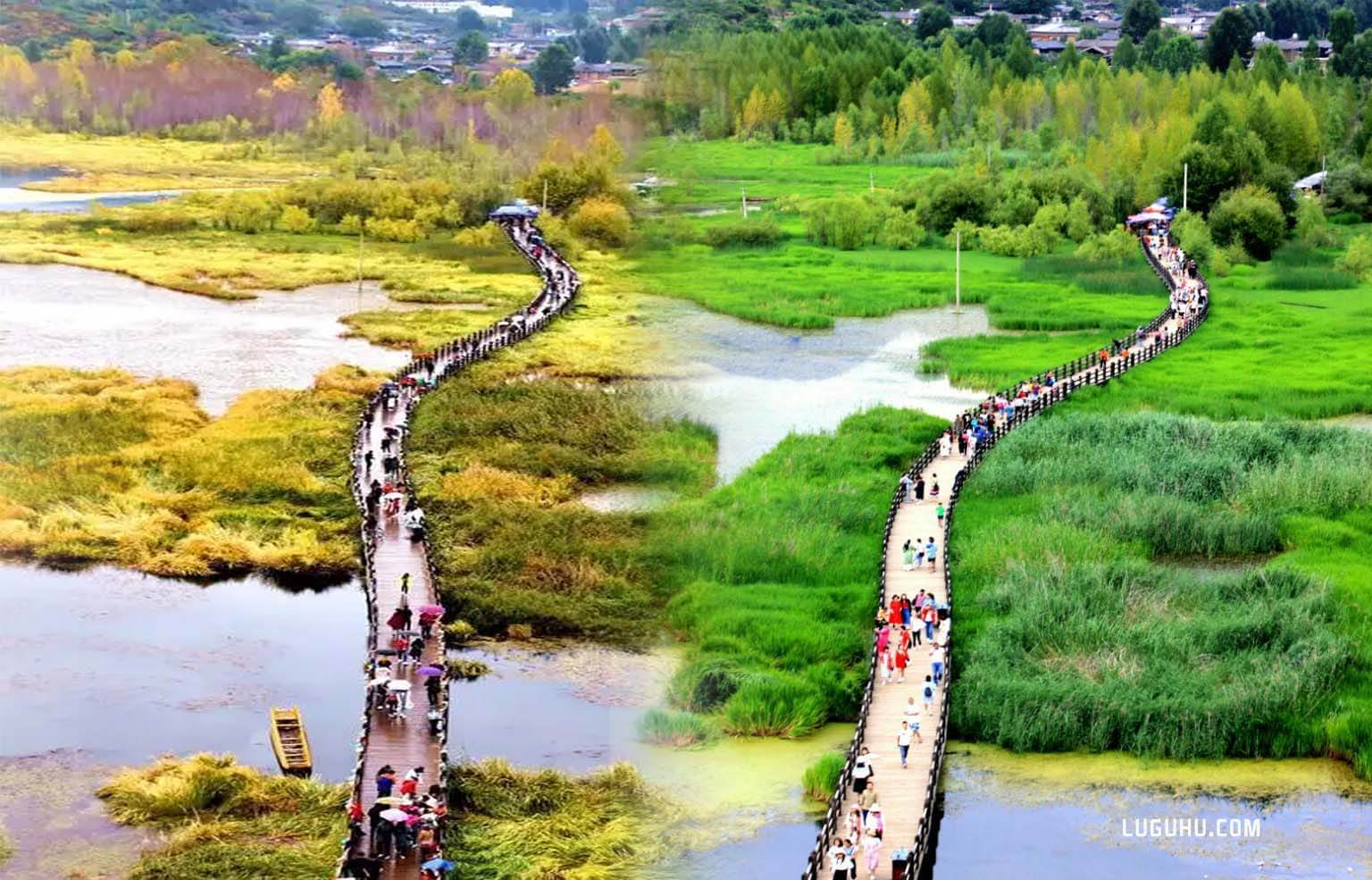 �����ͼƬ8